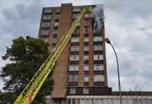 Firefighters Respond to High-Rise Flats Fire in Catford news-05092024-010005