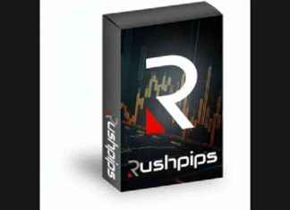 Rushpips: Avenix Fzco’s Innovative Forex Trading Tool – London Business News news-10092024-184413