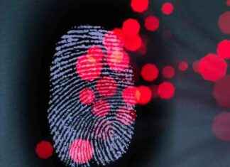 Detecting and Preventing Identity Fraud in London: Latest Business News | Londonlovesbusiness.com news-18092024-130113