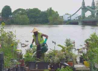 Community-Powered Public Garden: A Heart-Wrenching Documentary Story news-24092024-162552