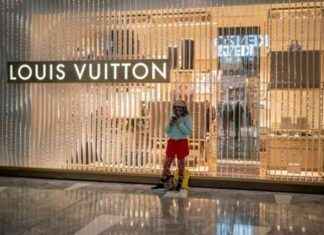Is LVMH a Good Investment Despite Declining Fundamentals? – London Business News news-05112024-174317