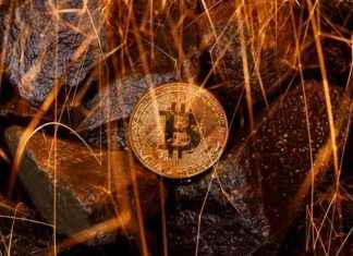 Bitcoin Price Consolidates as Regulatory Hopes and Adoption Grow – London Business News news-29112024-172159