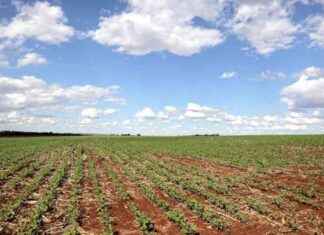 NFU Warns of Potential Food Shortages Amid Farmers’ Strike Threat – London Business News nfu-warns-of-potential-food-shortages-amid-farmers-strike-threat-london-business-news