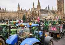 Farmers criticize Starmer for halting paid subsidies – London Business News farmers-criticize-starmer-for-halting-paid-subsidies-london-business-news