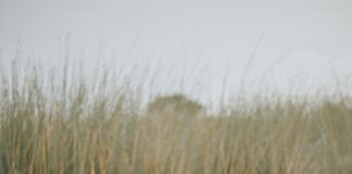 Finding Love At London Music Festivals: Secrets To Spark Romance