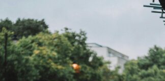 Dating Events For Busy Professionals In London: Unlock True Connections