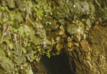 London’s Hidden Romantic Spots to Explore: Secrets You’ll Love