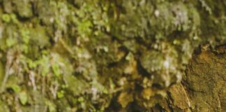 London’s Hidden Romantic Spots to Explore: Secrets You’ll Love