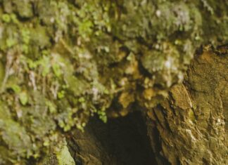 London’s Hidden Romantic Spots to Explore: Secrets You’ll Love