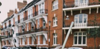 Vegan Dating In London: Where To Go For The Ultimate Love Hunt