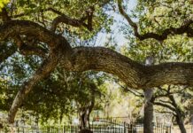 How To End Things Respectfully In London: Expert Tips Revealed