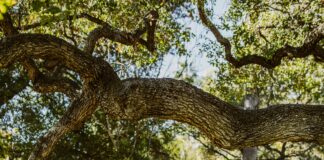 How To End Things Respectfully In London: Expert Tips Revealed