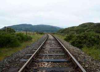 Train collides with tractor in Herefordshire: Latest updates | London Business News train-collides-with-tractor-in-herefordshire-latest-updates-london-business-news