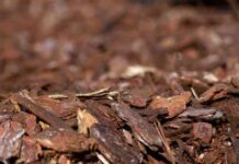 utilizing-wood-chips-for-sustainability-in-modern-business-london-business-nsights